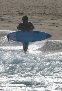 Sirbony avatar