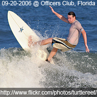 turtlereef avatar