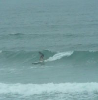 Surfhiggins13 avatar