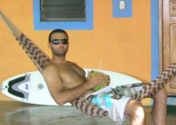 misterhoncho avatar