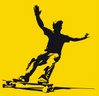 Rui Reigota avatar