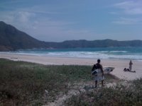 Dsurf avatar