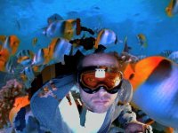 blackforestsurfer avatar