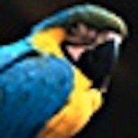 shorepound avatar