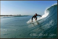 surflez avatar