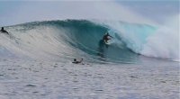 Playgroundsurf avatar