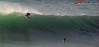 surfbum avatar