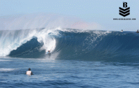 Lokahi33 avatar