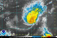 JAMhawaii avatar