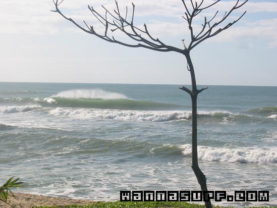 photo de surf