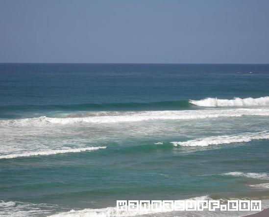 photo de surf