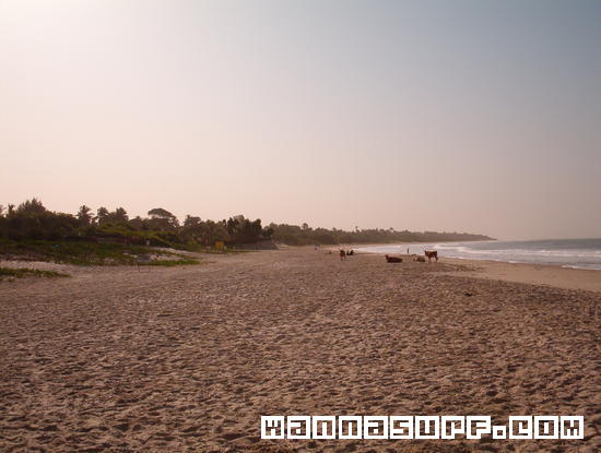 photo de surf