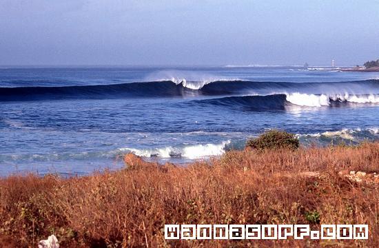 photo de surf