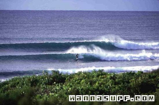 photo de surf