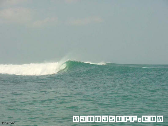 photo de surf