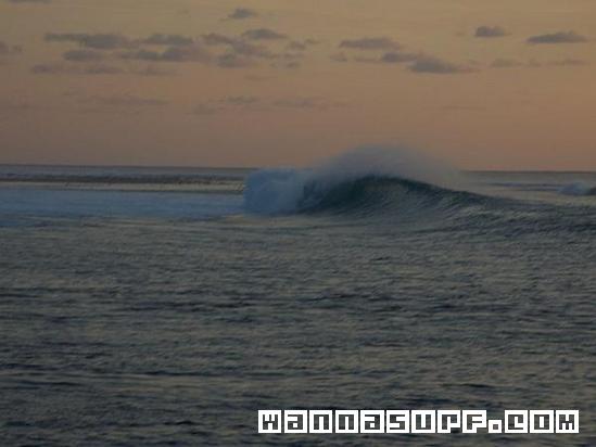 photo de surf