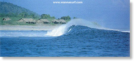 photo de surf