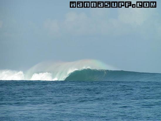 photo de surf