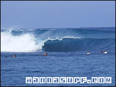 photo de surf