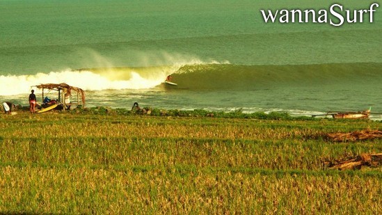photo de surf