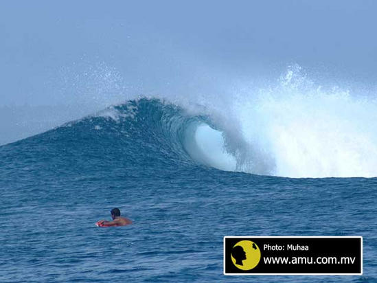 photo de surf