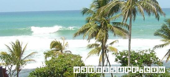 photo de surf