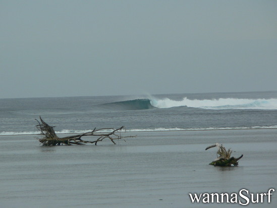 photo de surf