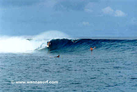 photo de surf
