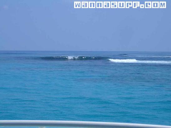 photo de surf