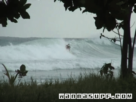 photo de surf