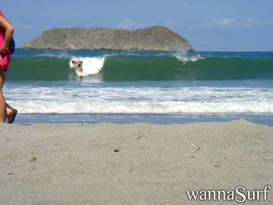 photo de surf