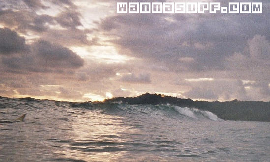photo de surf
