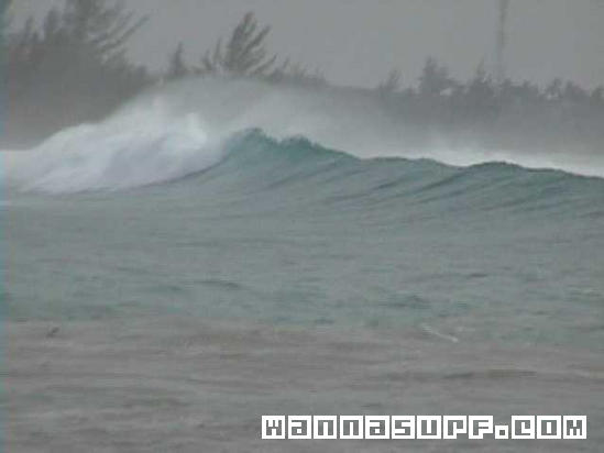 photo de surf