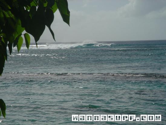 photo de surf
