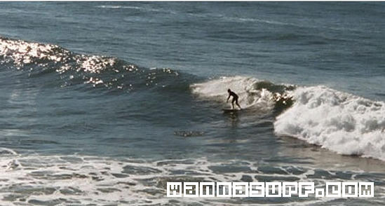 photo de surf