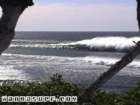 photo de surf