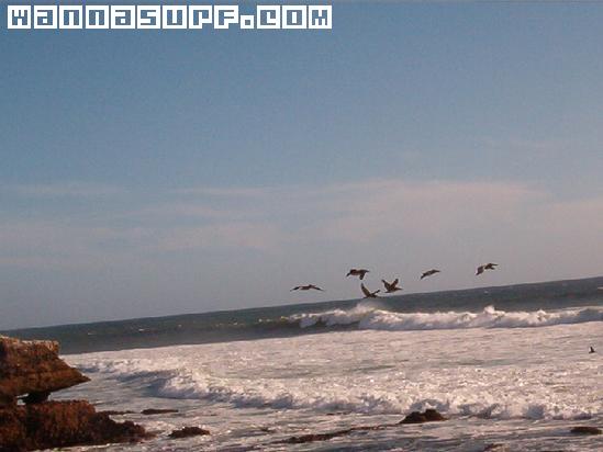 photo de surf