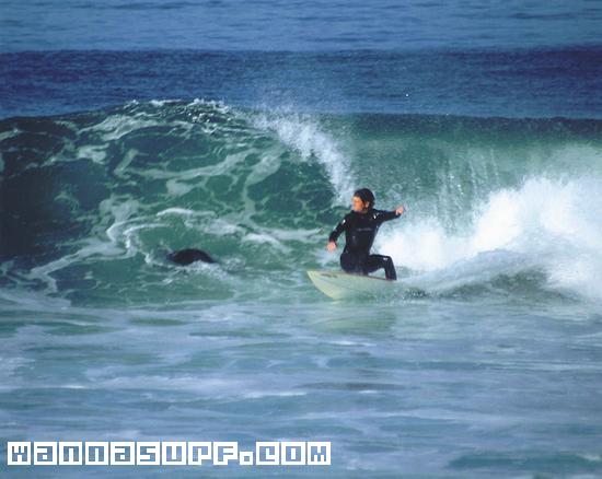 photo de surf