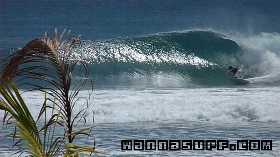 photo de surf