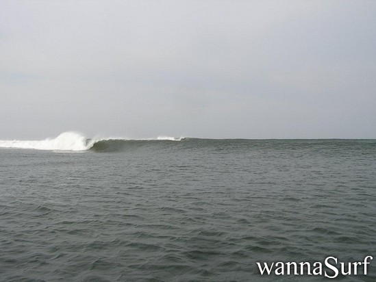 photo de surf