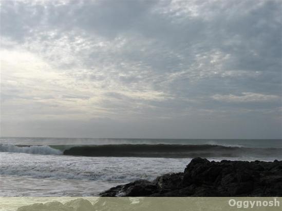 photo de surf