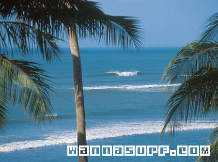 photo de surf