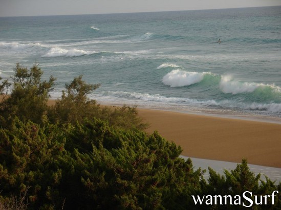 photo de surf