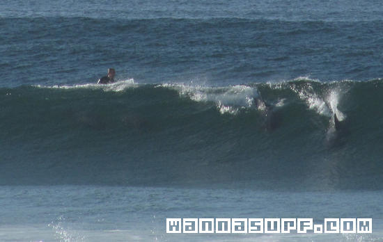 photo de surf