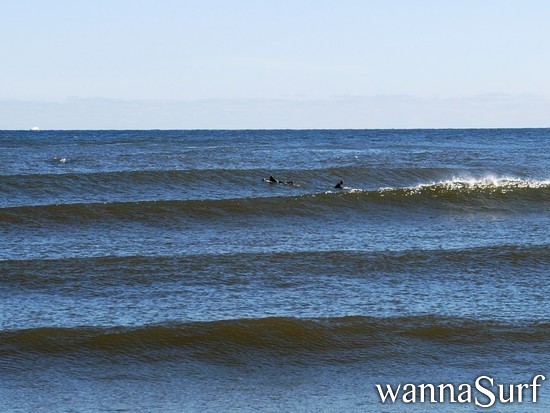 photo de surf