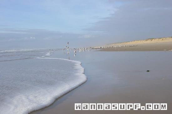 photo de surf