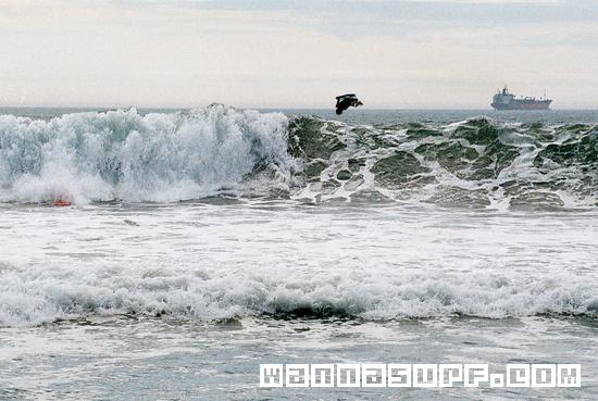 photo de surf