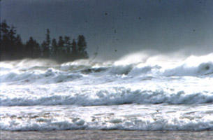 photo de surf
