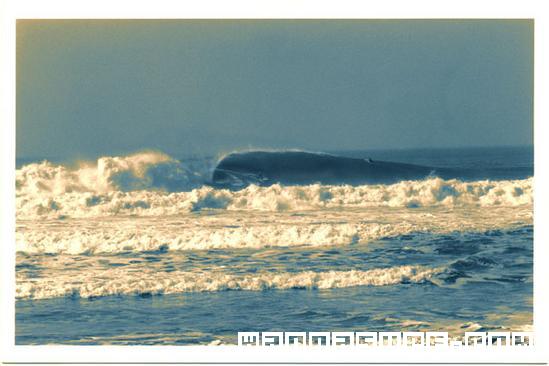 photo de surf