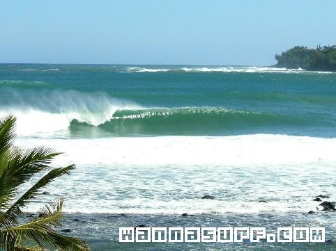 photo de surf